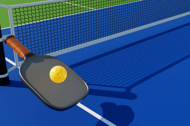 perbandingan bahan karpet pickleball