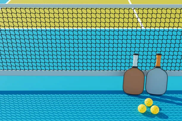 tips memilih karpet pickleball