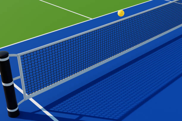 distributor karpet pickleball