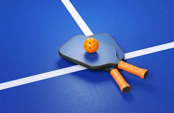 jual lapangan pickleball indoor