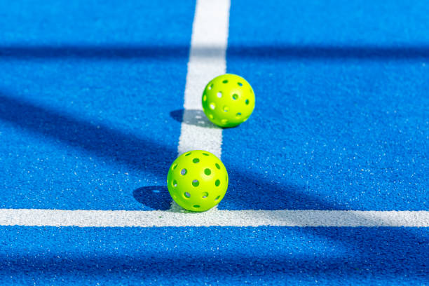 jual indoor pickleball court